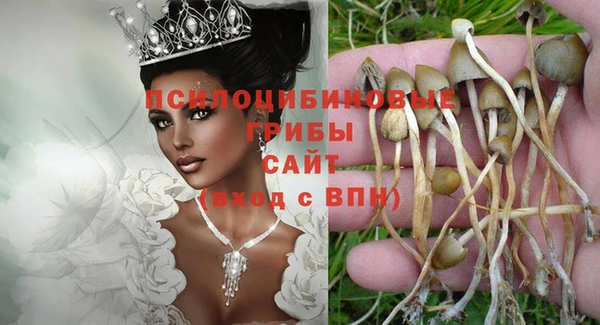 mdpv Абдулино