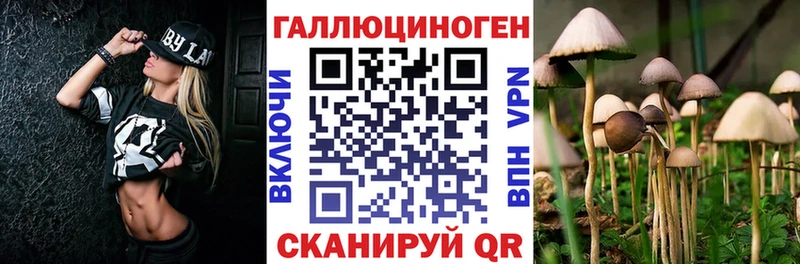 Псилоцибиновые грибы мухоморы  где купить   Болохово 