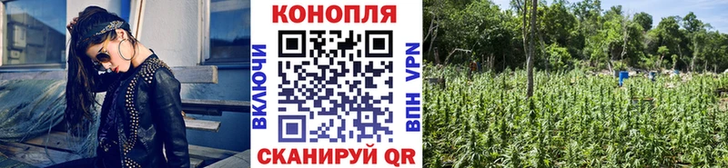 как найти kraken маркетплейс Бошки Шишки сатива Болохово